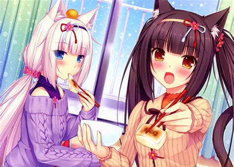 neko para anime.